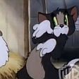 Tom a Jerry - Past na myš…